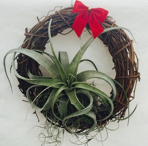 Xerographica Wreath